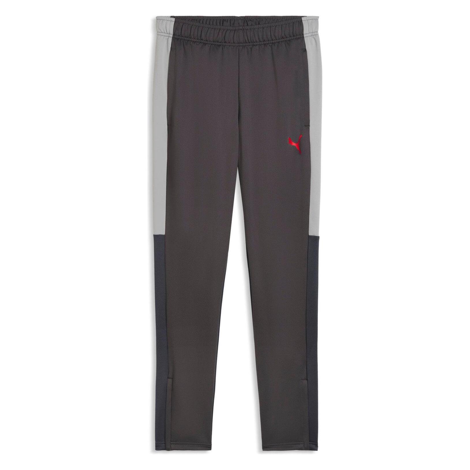 Puma IndividualLIGA Training Pants (XXL) (660572)