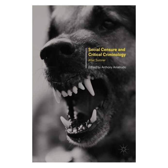Palgrave Macmillan Uk Social Censure and Critical Criminology (Englisch, Hardcover, Anthony Amatrudo) (63341801)