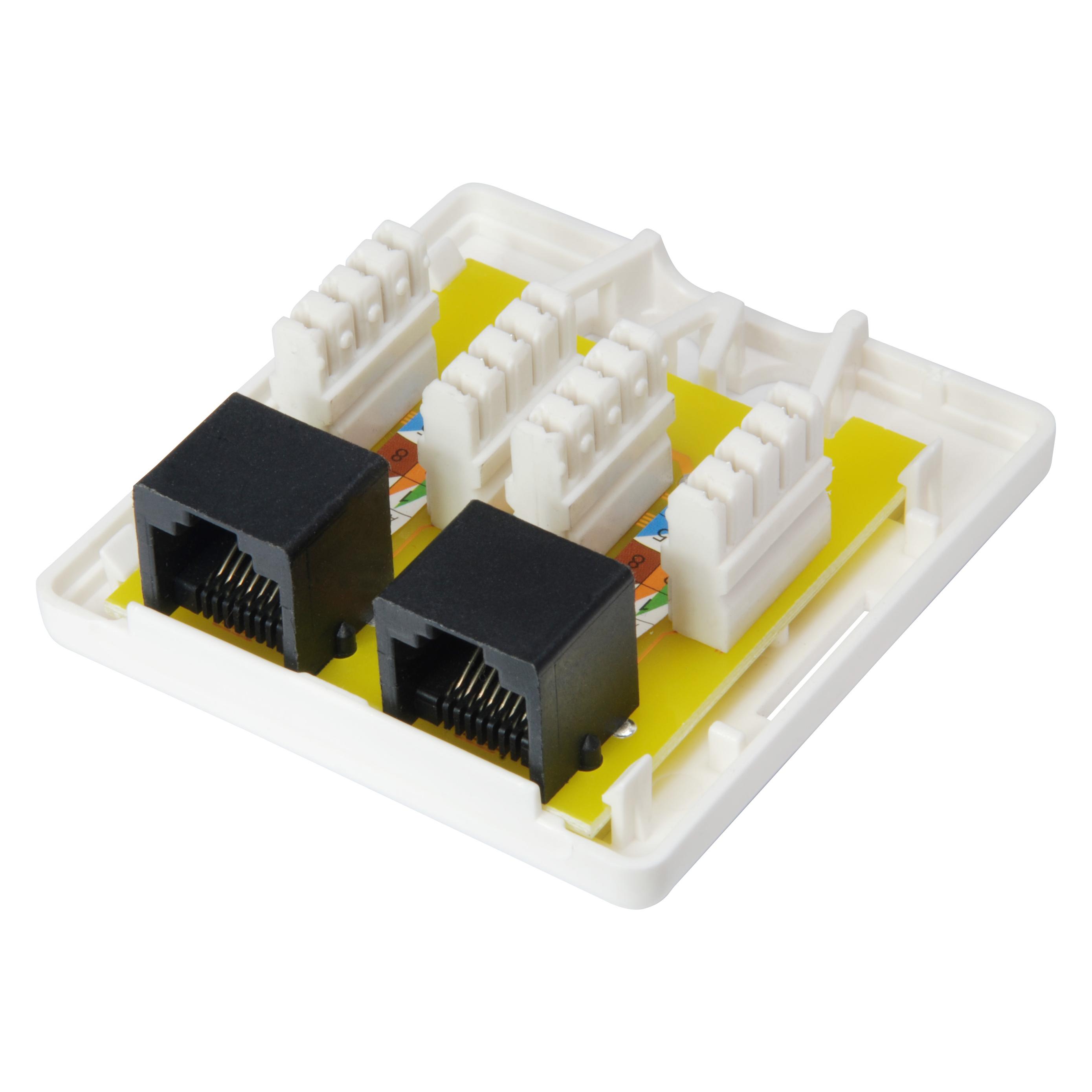 equip Dose 2x Aufputz (Netzwerk Zubehör) (235214)