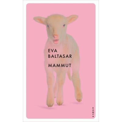 Mammut, Taschenbuch von Eva Baltasar, Kampa Verlag, 978-3-311-15147-0