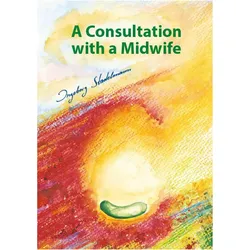 A Consultation with a Midwife, Ratgeber von Ingeborg Stadelmann