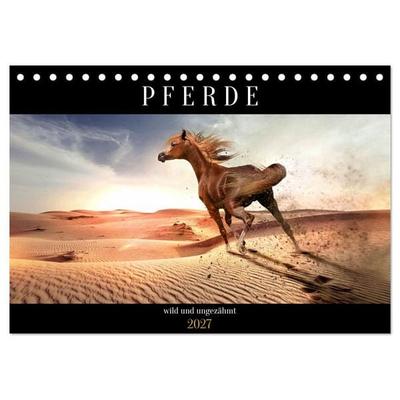 Pferde - wild und ungezähmt (Tischkalender 2027 DIN A5 quer), CALVENDO Monatskalender