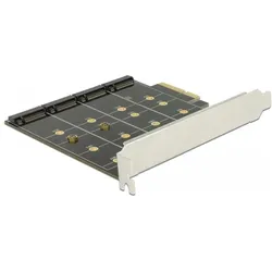 Delock Speichercontroller (RAID), Storage Controller