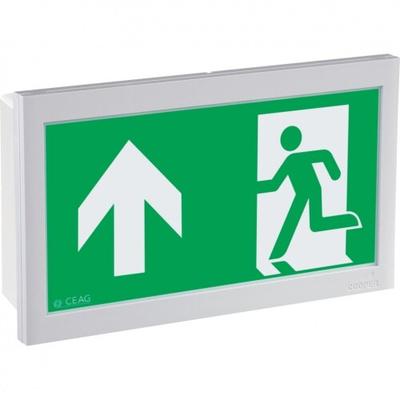 Schild I LED-Piktogramm Rettungszeichen Rettungsweg oben, Polycarbonat, 226x134mm, ASR A1.3, DIN EN ISO 7010 E001