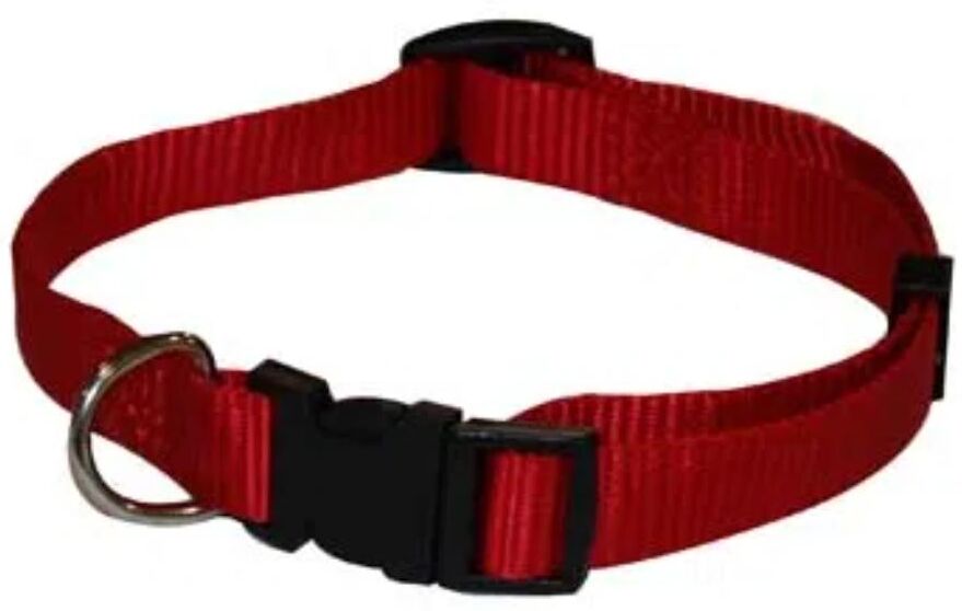 CROCI Collare Nylon Regolabile Rosso XS