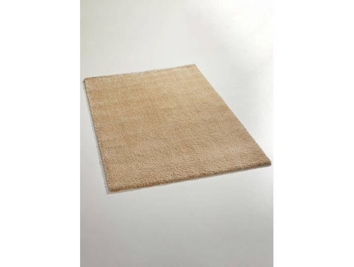 Handgetuftete Brücken und Teppiche mit dichtem Flor, Beige, Größe 288 (Teppich, 240x340 cm)