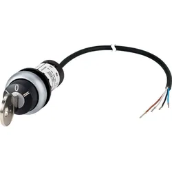 Eaton Schlüsseltaste RMQ compact C22-WRS3-MS1-K20-P62
