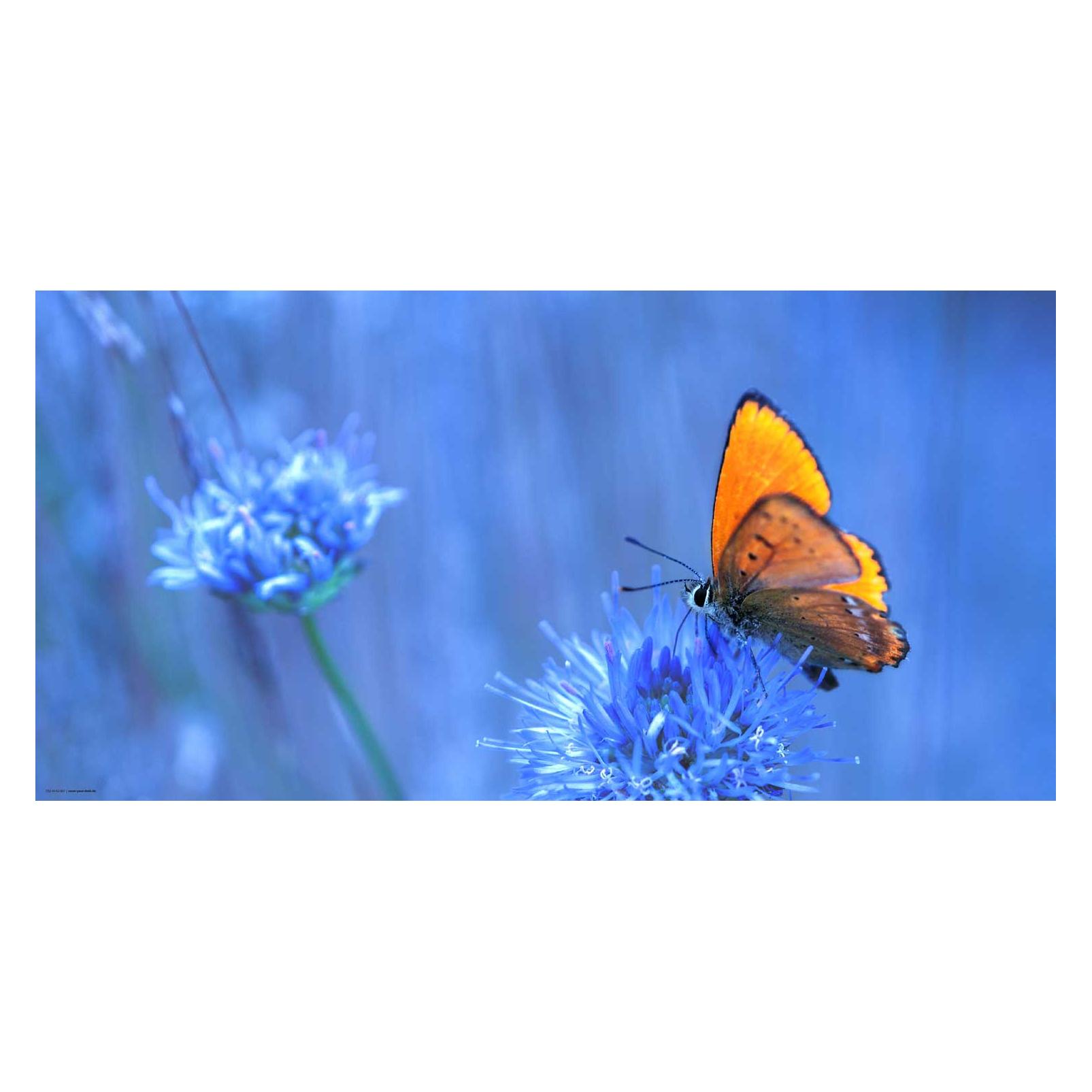 CoverYourDesk Schreibtischunterlage Orangener Schmetterling (21557525)