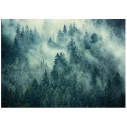 FOTOTAPETE Wald im Nebel Vliestapete 200x140
