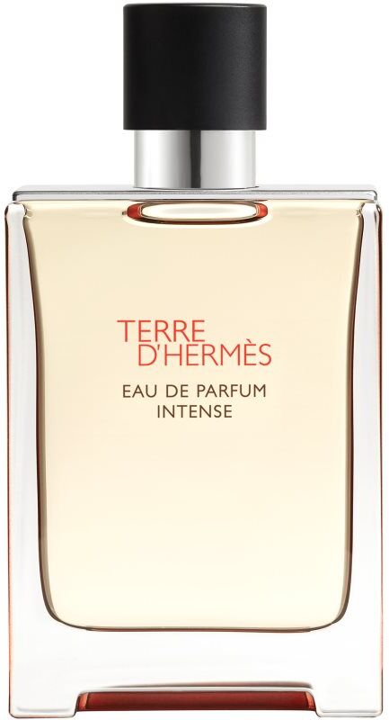 HERMÈS Terre d’Hermès Eau de Parfum Intense eau de parfum intense pour homme 100 ml