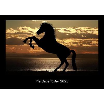 Pferdegeflüster 2025 Fotokalender DIN A3