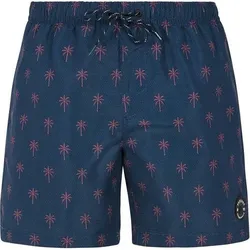 PROTEST Herren Badeshorts PRTALVIS, Größe XS in Blau Blau