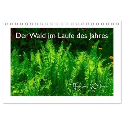 Der Wald im Laufe des Jahres (Tischkalender 2027 DIN A5 quer), CALVENDO Monatskalender