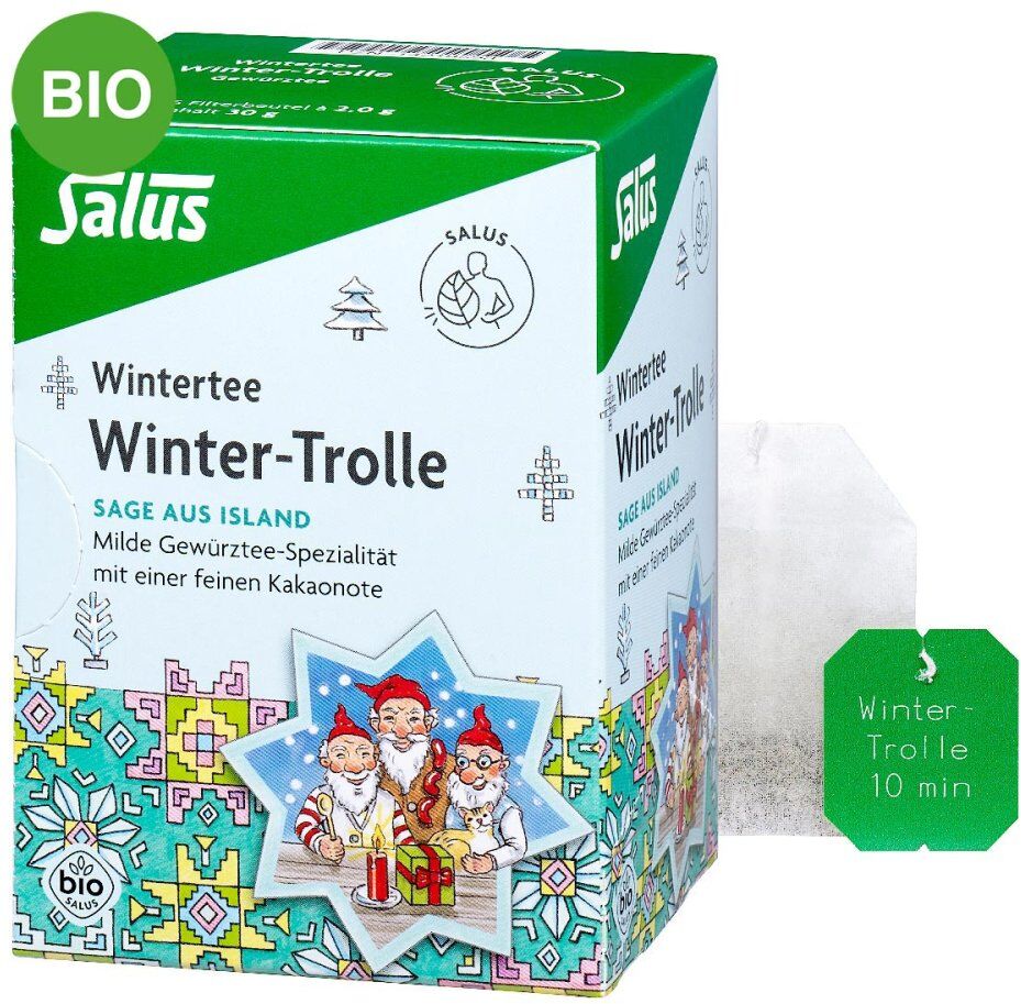 Salus Winter-Trolle Winter-Gewürztee Bio Filterbeutel 15stk