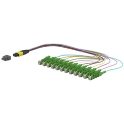 Metz Connect OpDAT Ader-Fanout MTP-M 151P5TMMA003A