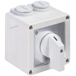Kraus & Naimer STERNDREIECKSCHALTER GEH.IP42 (C26.A410.PNL4), Schalter + Taster