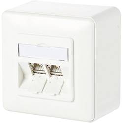 Metz Connect Netzwerkdose Aufputz CAT 6a 2 Port Reinweiß 130B11D20002-E