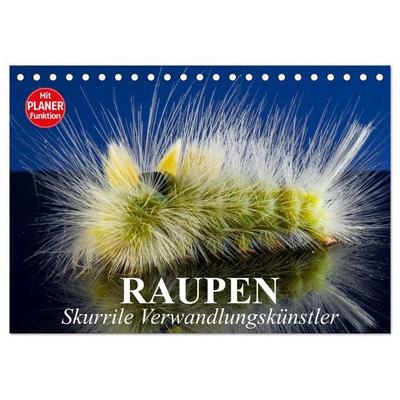 Raupen. Skurrile Verwandlungskünstler (Tischkalender 2026 DIN A5 quer), CALVENDO Monatskalender
