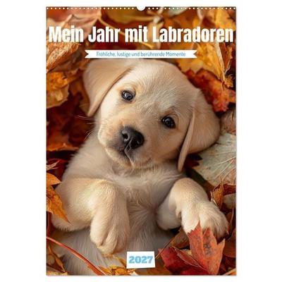 Mein Jahr mit Labradoren (Wandkalender 2027 DIN A2 hoch), CALVENDO Monatskalender