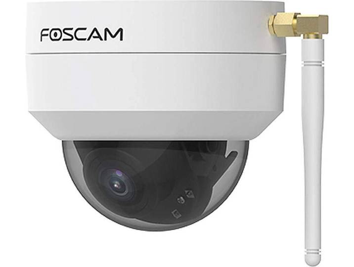 Foscam D4Z -Caméra de surveillance IP LAN WLAN extérieur (D4Z)