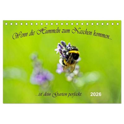 Wenn die Hummeln zum naschen kommen, ist dein Garten perfekt (Tischkalender 2026 DIN A5 quer), CALVENDO Monatskalender