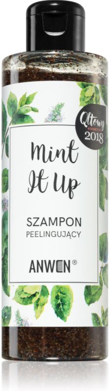 Anwen Mint It Up Peeling-Shampoo 200 ml