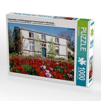 CALVENDO Puzzle Tulpenblüte im Sichtungsgarten Hermannshof in Weinheim | 1000 Teile Lege-Größe 64x48cm Foto-Puzzle für glückliche Stunden