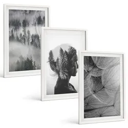 BILDER SET 3er Set - 40x60 cm Weißer Rahmen - Waldnebelporträt Baum Löwenzahn