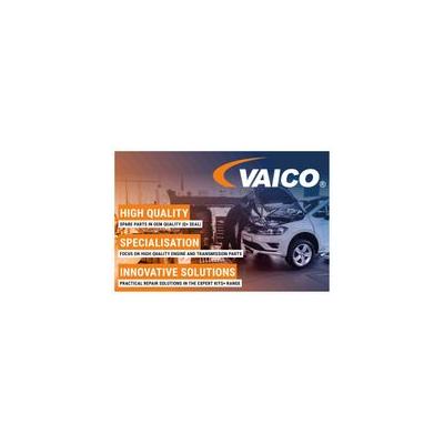 VAICO Federbeinstützlager Original Qualität V95-0080 Hinterachse für Volvo