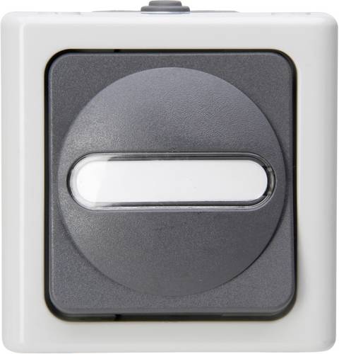 Kopp 560656006 1 Stück Feuchtraum-Schalterprogramm Komplett Ausschalter, Wechselschalter BlueElectric Grau 1 St.