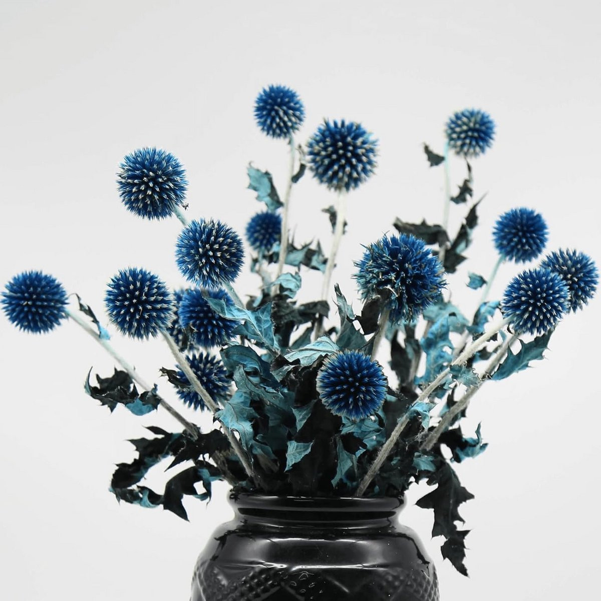 Gedroogde Distel Bloemen - Geconserveerde Echinops - Blauw - 38 cm