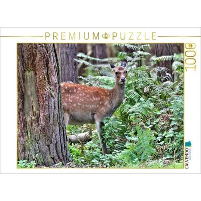 CALVENDO Puzzle Der Sikahirsch - Der kleine Asiat in unseren Wäldern | 1000 Teile Lege-Größe 64x48cm Foto-Puzzle für glückliche Stunden, Sonstige von