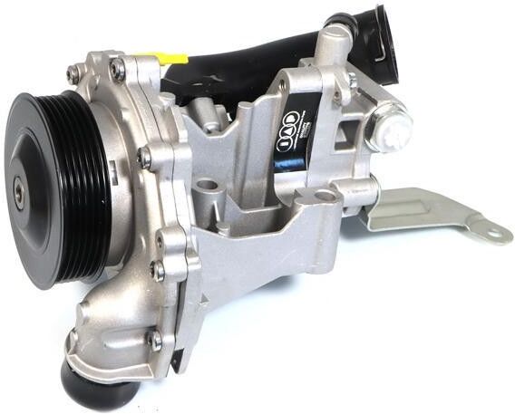 IAP QUALITY PARTS 150-10071 Wasserpumpe