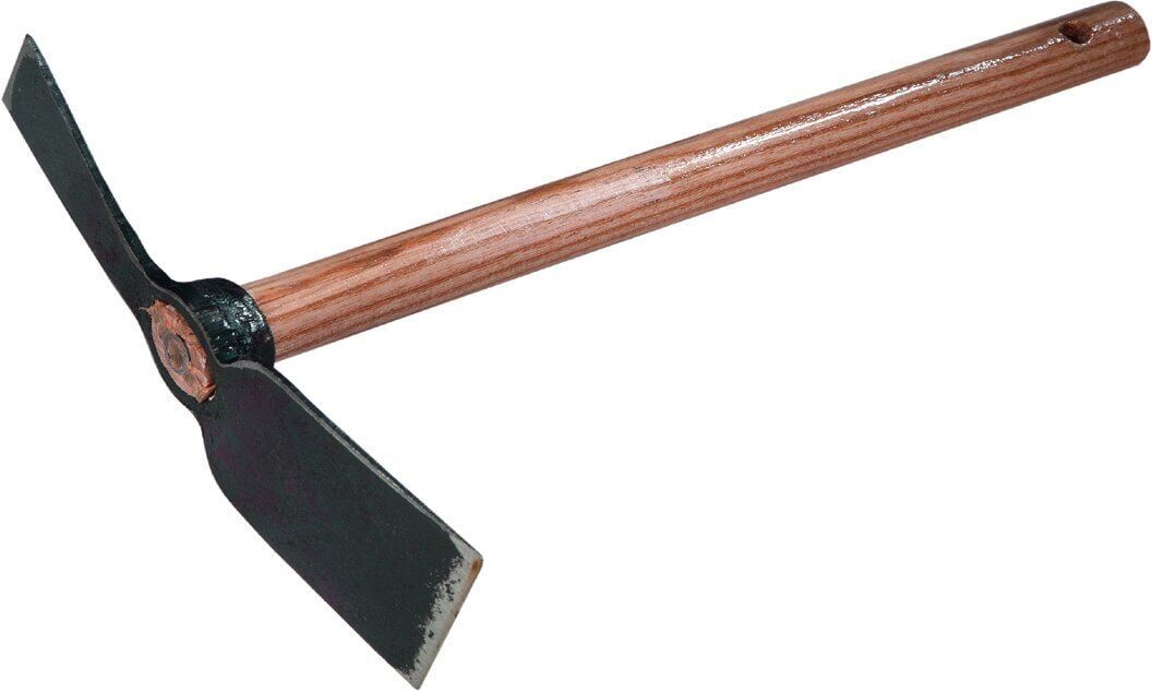 Freund Victoria Schmalblatt-Kleinhacke nur 45 cm ideal für Hochbeete
