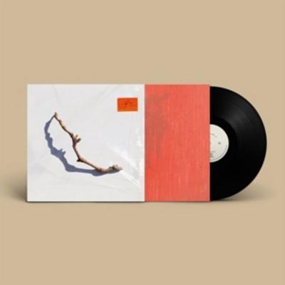 I Inside The Old Year Dying - PJ Harvey, Vinyl