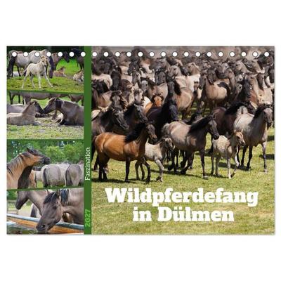 Faszination Wildpferdefang in Dülmen (Tischkalender 2027 DIN A5 quer), CALVENDO Monatskalender