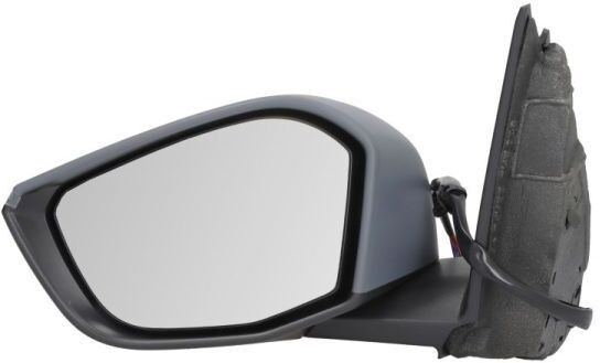 BLIC 5402-21-2323310P Wing mirror
