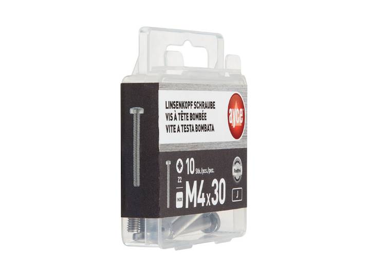 LK Inox-Schraube M4 × 30 mm