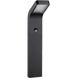 Paulmann, Gartenbeleuchtung, Wegeleuchte LED 22.5W Anthrazit (500 lm, IP44)