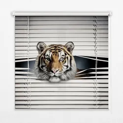 INNENROLLO - Fensterrollo - Rollo - 100x100 cm - Tiger