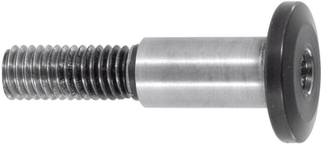 HOFFMANN Vis de rechange pour fixation de lame de scie, pour lame Ø d1 : 40 mm ; Industrial Quality Supplies (345566 40)