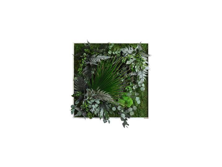 StyleGREEN Moosbild Stylegreen, Grün, Naturmaterialien, Eiche, Pflanzen, 80x80x18-22 cm, 3D-Effekt, einfache und schnelle Anbringung, pflegefrei – nicht gießen oder besprühen, keine Beleuchtung notwendig, Bilder & Rahmen, Moosbilder