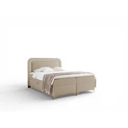 BOXBETT Willow