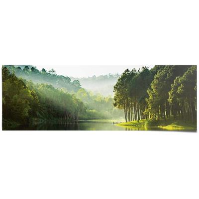 Poster REINDERS "Mystischer Waldsee", grün (farbe bild(er): grün), B:158cm H:53cm, Papier, Bilder, Poster