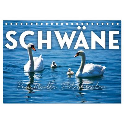 Schwäne - Prachtvolle Federkleider. (Tischkalender 2027 DIN A5 quer), CALVENDO Monatskalender