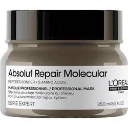 Serie Expert Absolut Repair Molecular Maske 250 ml