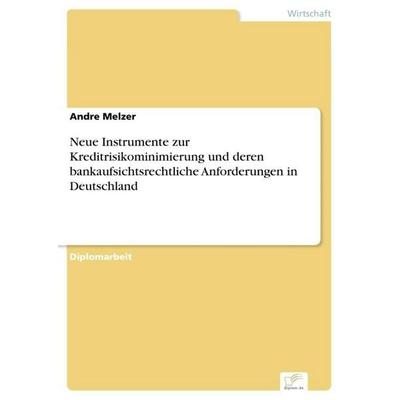 Neue Instrumente zur Kreditrisikominimierung und deren bankaufsichtsrechtliche Anforderungen in Deutschland, Taschenbuch von Andre Melzer, GRIN,