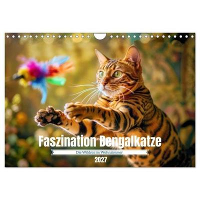 Faszination Bengalkatze (Wandkalender 2027 DIN A4 quer), CALVENDO Monatskalender