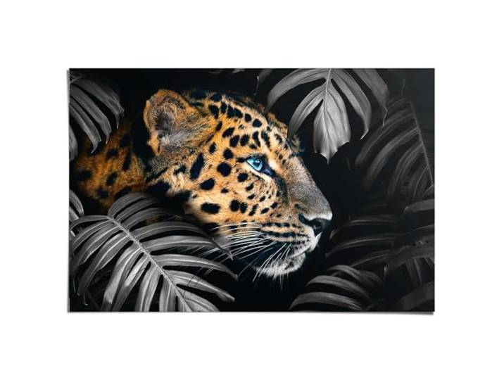 Poster Jungle luipaard 61 x 91,5