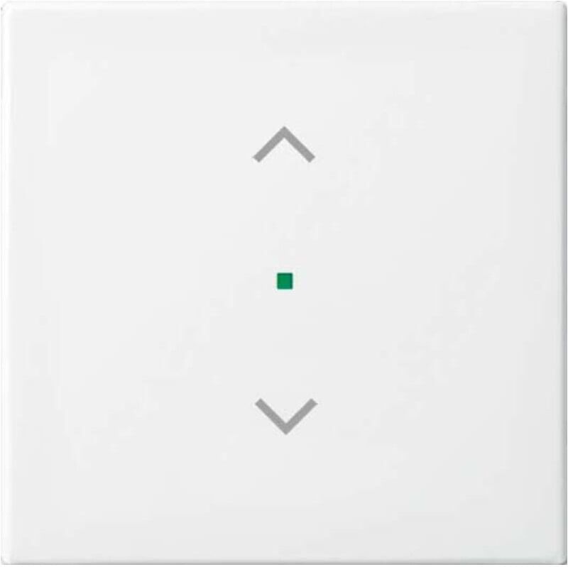 Busch-Jaeger Wippe aws Busch-balance SI 6232-10-914 (2CKA006220A0357)